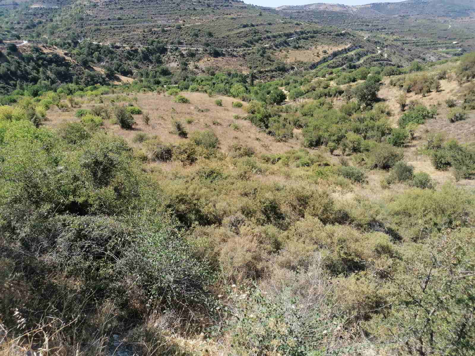 Plot of land in Arsos Limassol with road