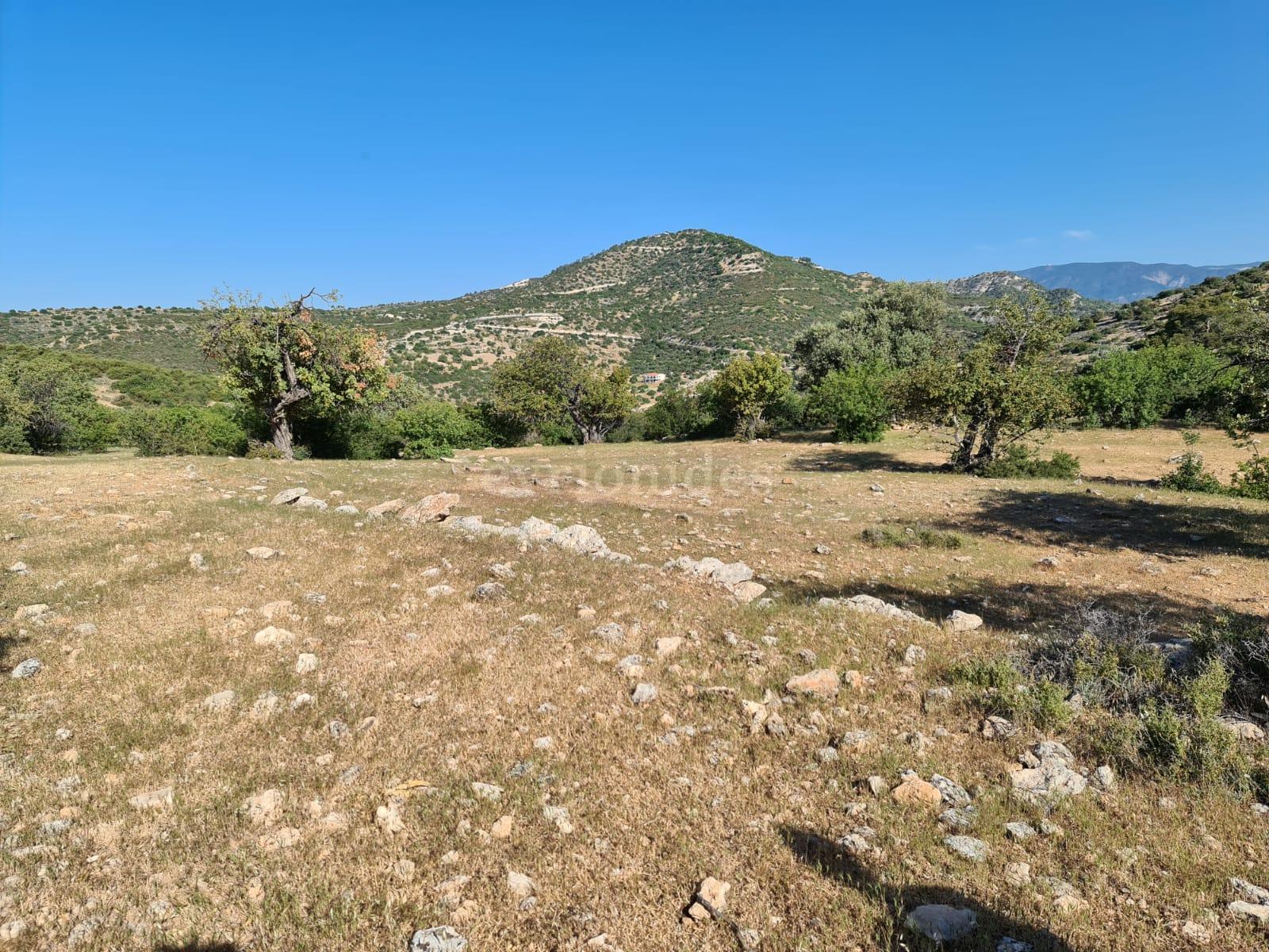 Large plot of land in Apsiou for sale