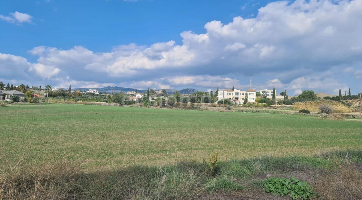Evgenios Vrionides Real Estate Ltd Agricultural Plot Of Land In Moni With Public Road 06
