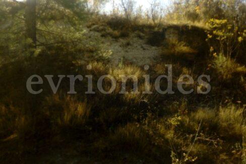 Evgenios Vrionides Real Estate Ltd Residential Plot Of Land In Pera Pedi Village 06