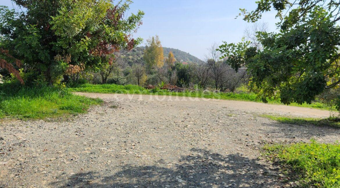 Evgenios Vrionides Real Estate Ltd 3 Bedroom Bungalow In Apesia Village In A Very Big Plot Of Land 15