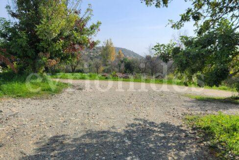 Evgenios Vrionides Real Estate Ltd 3 Bedroom Bungalow In Apesia Village In A Very Big Plot Of Land 15