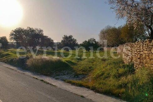 Evgenios Vrionides Real Estate Ltd Agricultural Land In Anogira In The Main Road 05