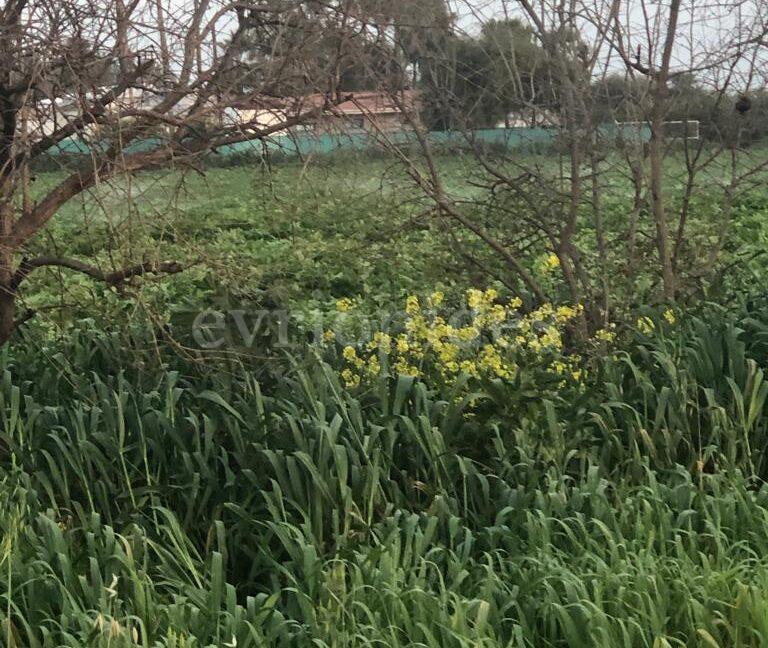 Evgenios Vrionides Real Estate Ltd Tourist Land For Sale In Timi On The Beach 01
