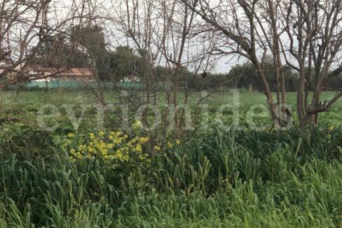 Evgenios Vrionides Real Estate Ltd Tourist Land For Sale In Timi On The Beach 04