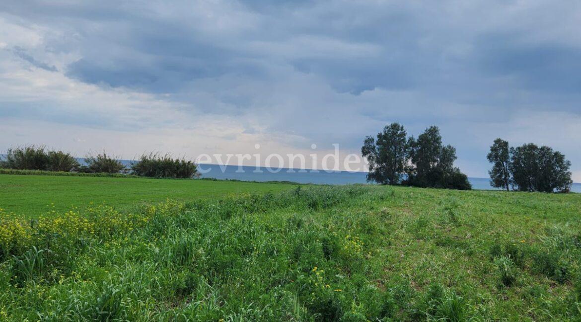 Evgenios Vrionides Real Estate Ltd Tourist Land For Sale In Timi On The Beach 09
