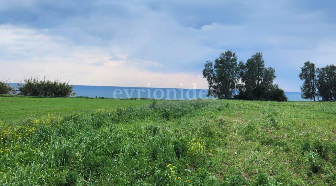 Evgenios Vrionides Real Estate Ltd Tourist Land For Sale In Timi On The Beach 10