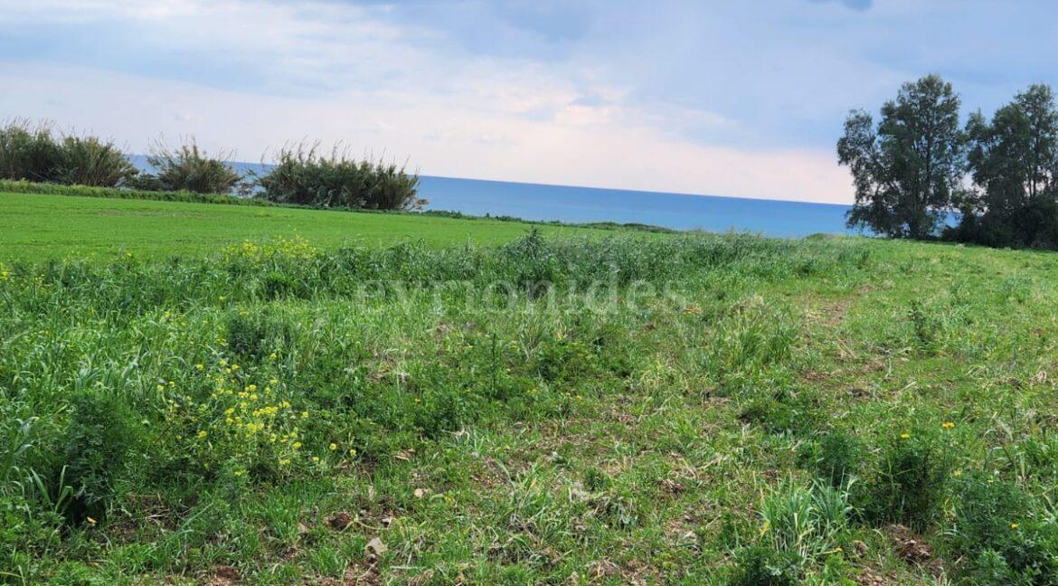 Evgenios Vrionides Real Estate Ltd Tourist Land For Sale In Timi On The Beach 13