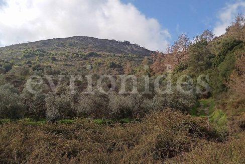 Evgenios Vrionides Real Estate Ltd Agricultural Land In Omodos Village With Public Road 01