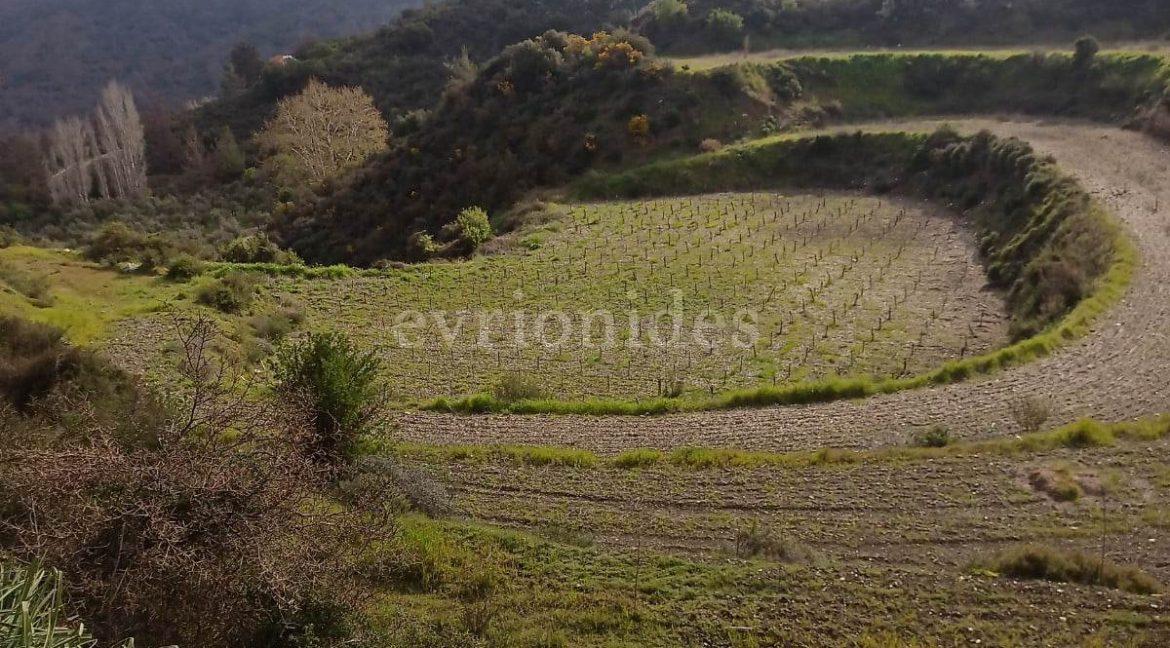 Evgenios Vrionides Real Estate Ltd Agricultural Land In Omodos Village With Public Road 03