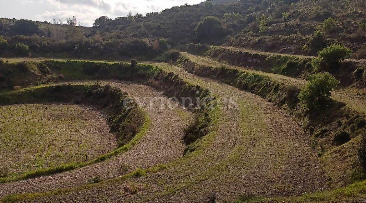 Evgenios Vrionides Real Estate Ltd Agricultural Land In Omodos Village With Public Road 04
