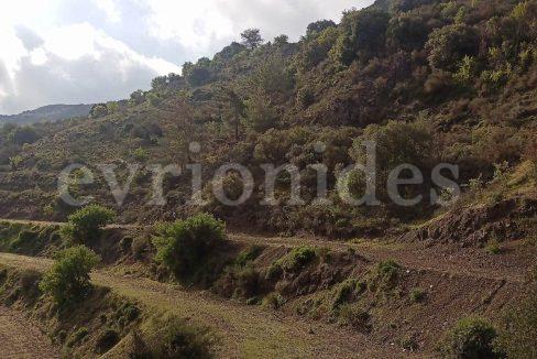 Evgenios Vrionides Real Estate Ltd Agricultural Land In Omodos Village With Public Road 08