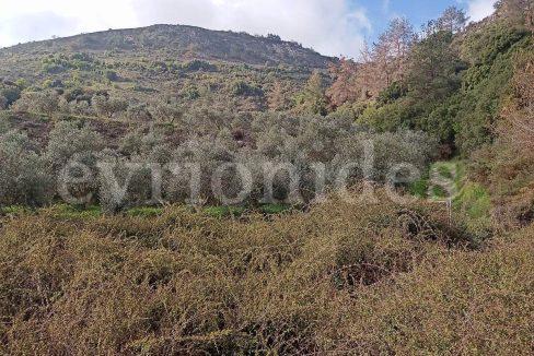Evgenios Vrionides Real Estate Ltd Agricultural Land In Omodos Village With Public Road 10