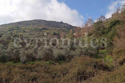 Evgenios Vrionides Real Estate Ltd Agricultural Land In Omodos Village With Public Road 11
