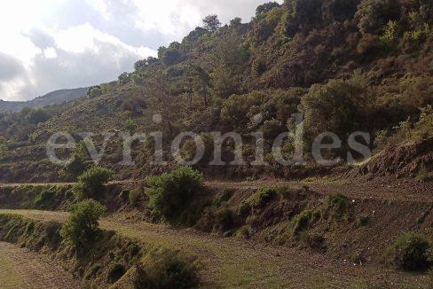 Evgenios Vrionides Real Estate Ltd Agricultural Land In Omodos Village With Public Road 14