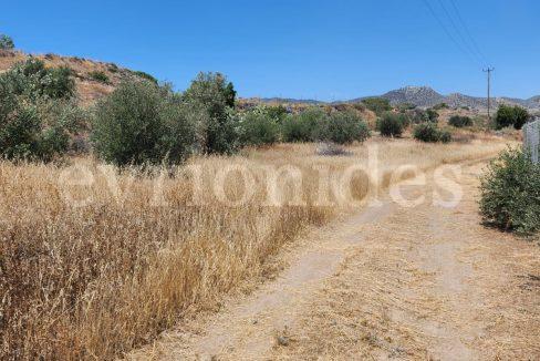 Evgenios Vrionides Real Estate Ltd Agricultural Land In Moni Village 04