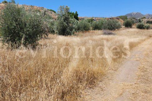 Evgenios Vrionides Real Estate Ltd Agricultural Land In Moni Village 05