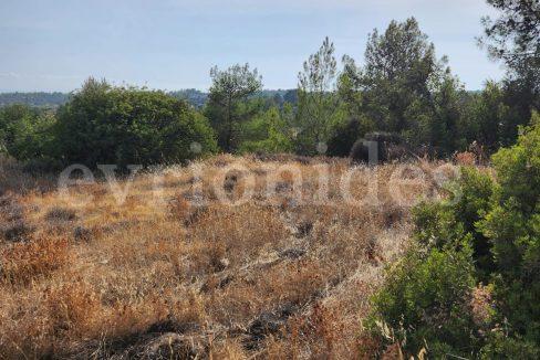 Evgenios Vrionides Real Estate Ltd Residential Land In Souni With Public Road 08