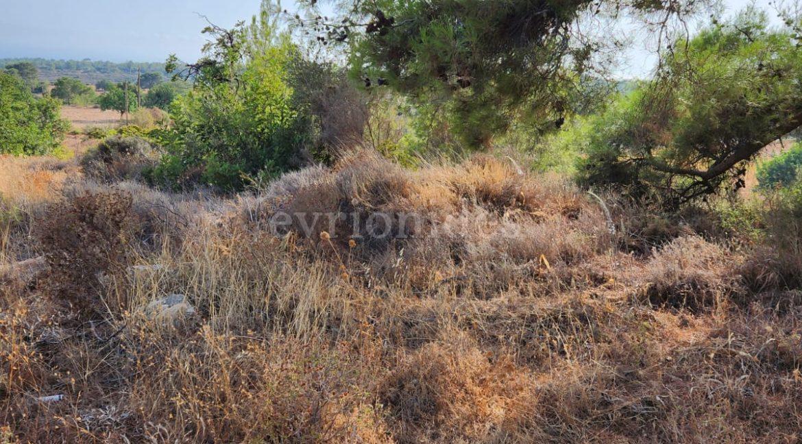 Evgenios Vrionides Real Estate Ltd Residential Land In Souni With Public Road 11