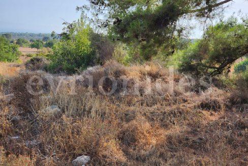Evgenios Vrionides Real Estate Ltd Residential Land In Souni With Public Road 11