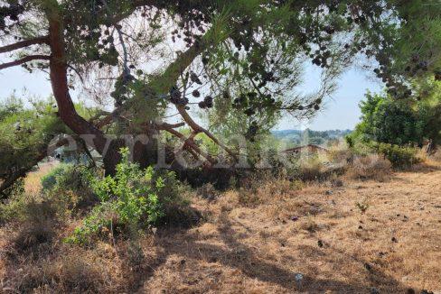 Evgenios Vrionides Real Estate Ltd Residential Land In Souni With Public Road 14