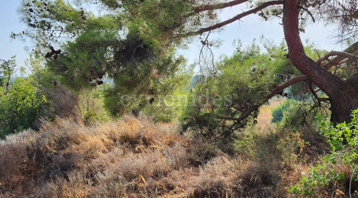 Evgenios Vrionides Real Estate Ltd Residential Land In Souni With Public Road 15