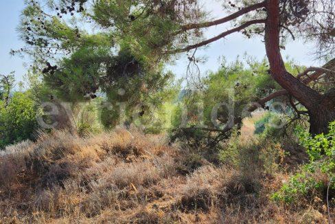 Evgenios Vrionides Real Estate Ltd Residential Land In Souni With Public Road 15