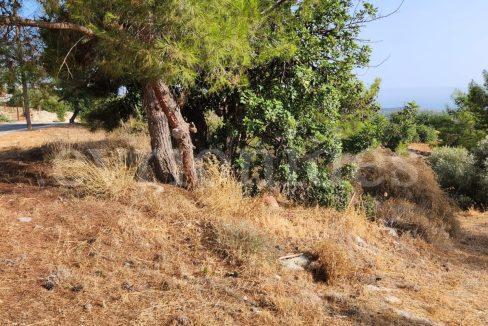 Evgenios Vrionides Real Estate Ltd Residential Land In Souni With Public Road 18